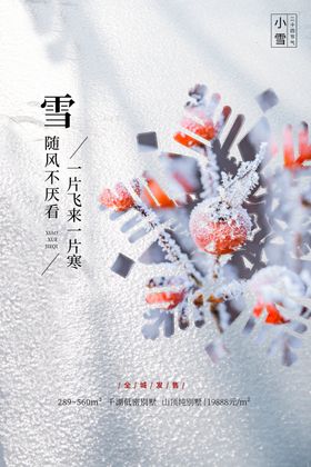 小雪海报