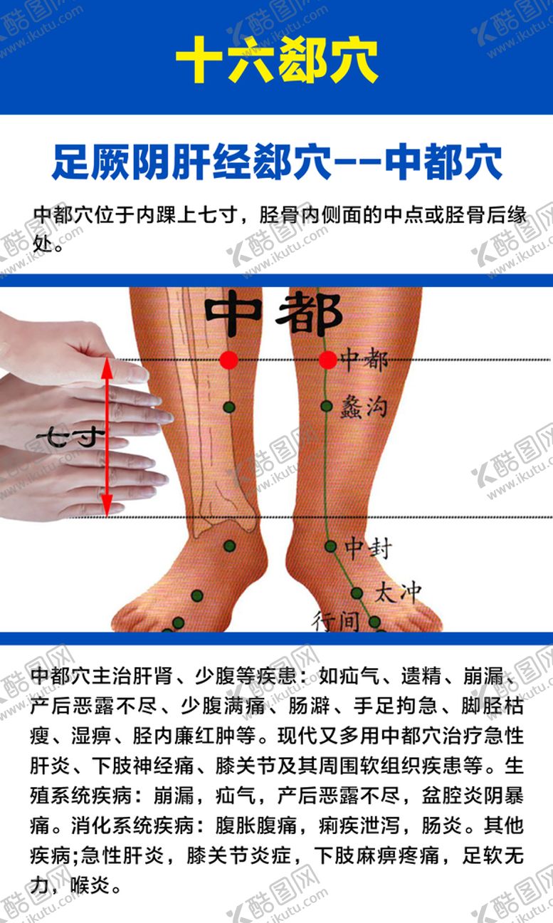 编号：71240310052324107698【酷图网】源文件下载-十六募穴