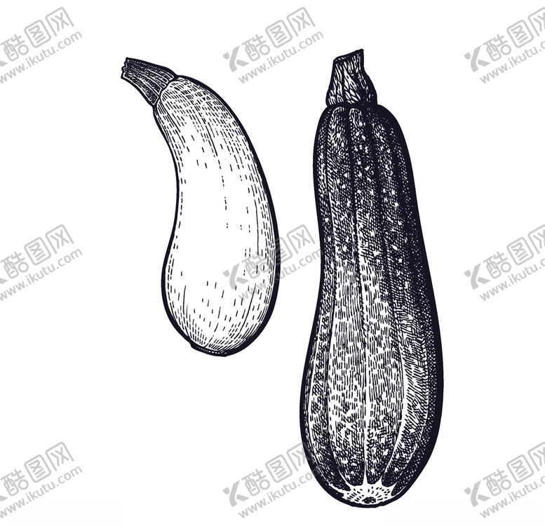 编号：89774609171737299341【酷图网】源文件下载-蔬菜