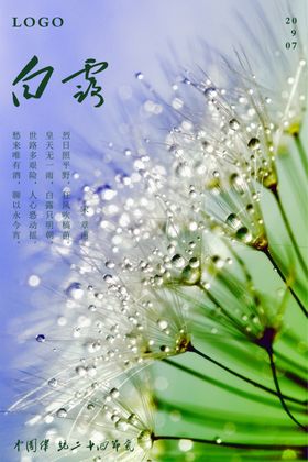 白露宣传