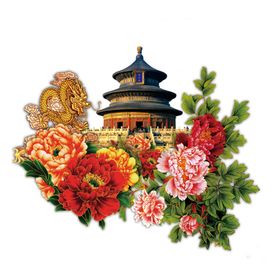牡丹花