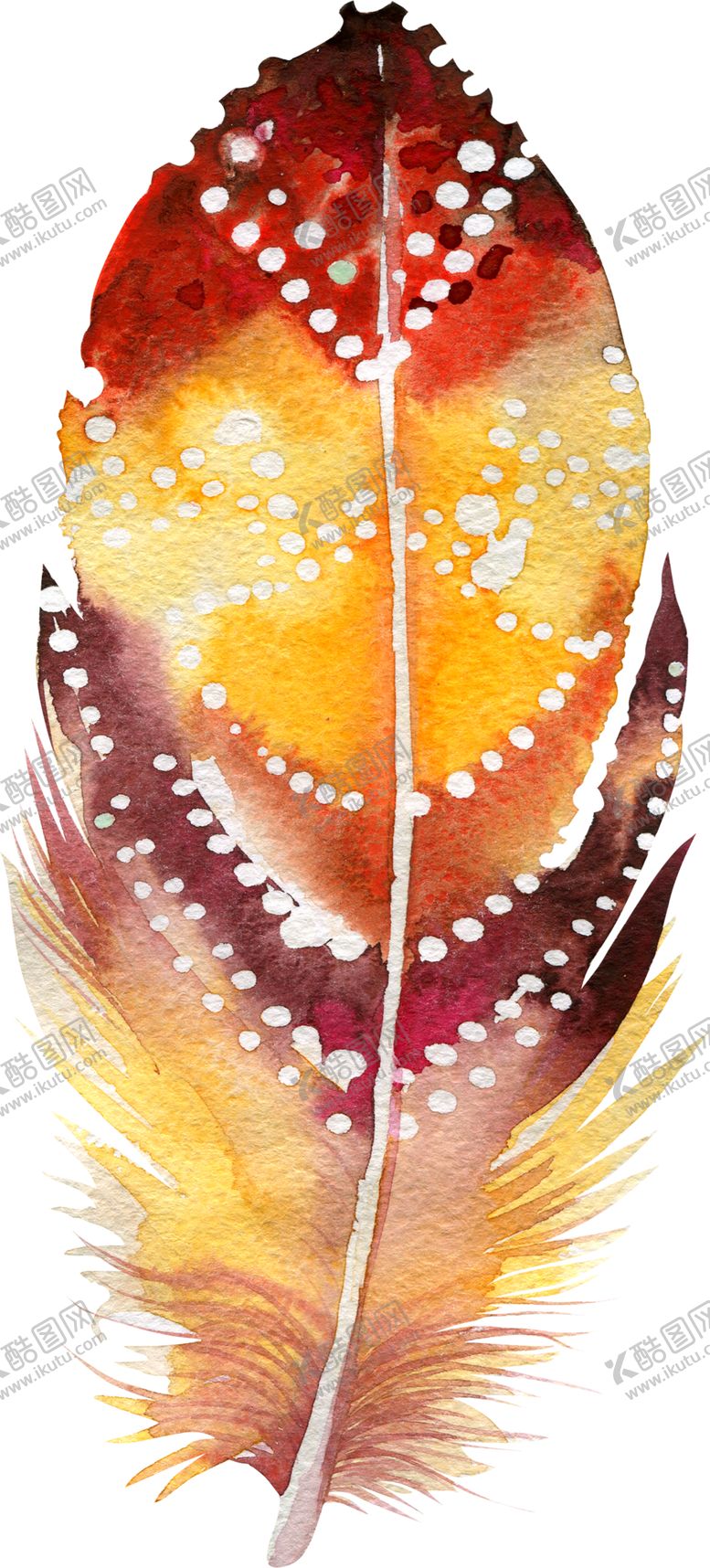 编号：53531309262240556525【酷图网】源文件下载-水彩创意羽毛图案