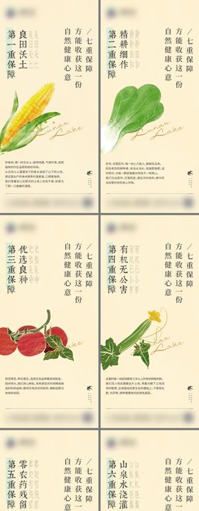 地产玥生态蔬菜系列单图
