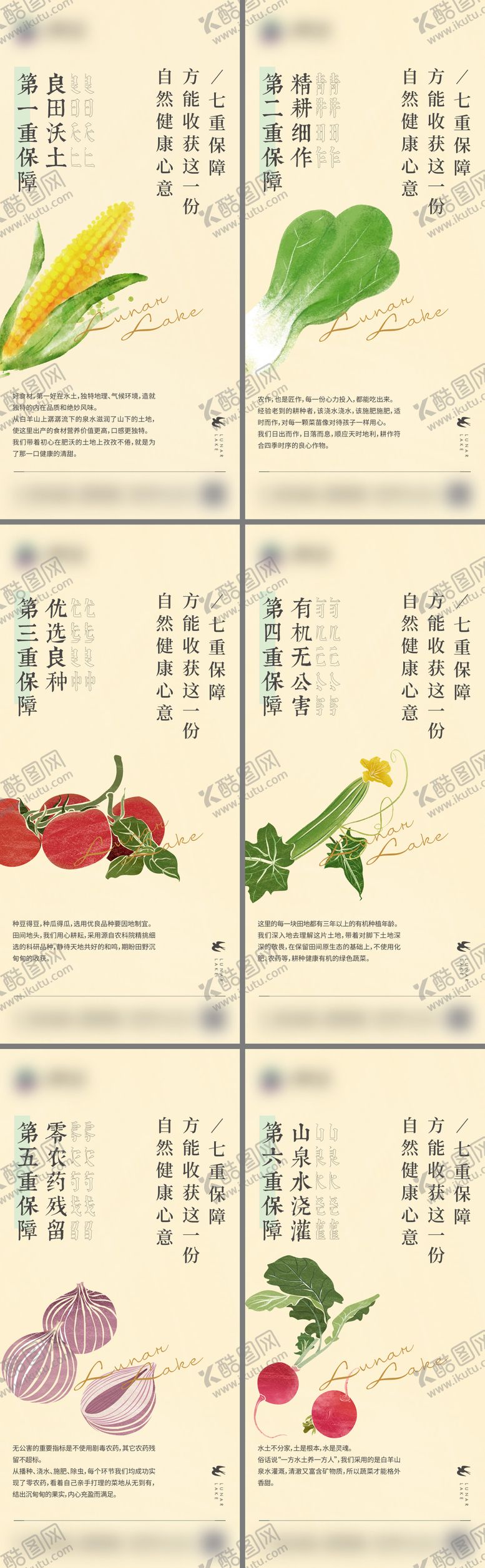 编号：16687205222326168869【酷图网】源文件下载-地产玥生态蔬菜系列单图