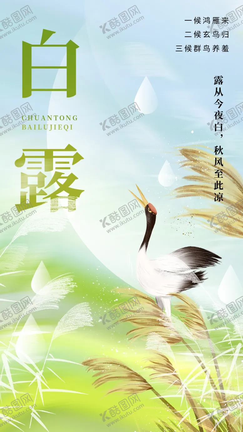 编号：97144601142117472308【酷图网】源文件下载-二十四节气白露海报
