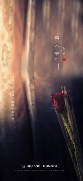情人节鲜花玫瑰七夕