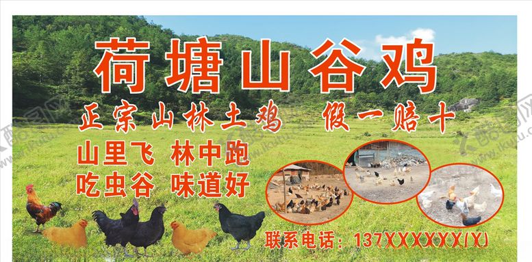 编号：83064711011348035024【酷图网】源文件下载-荷塘山谷鸡广告