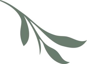花纹图案