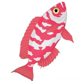 海大鱼料