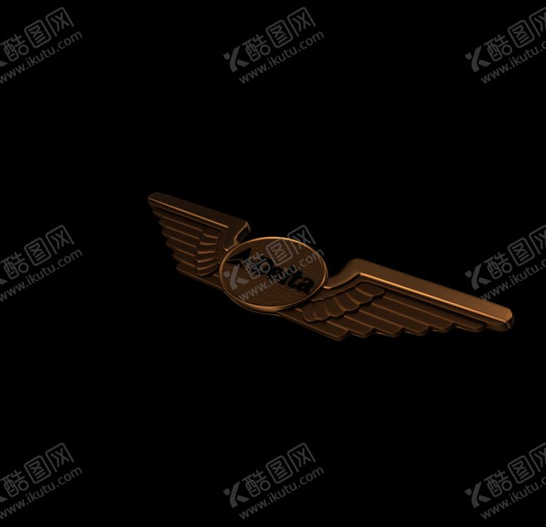 编号：27713609100006307266【酷图网】源文件下载-航空勋章