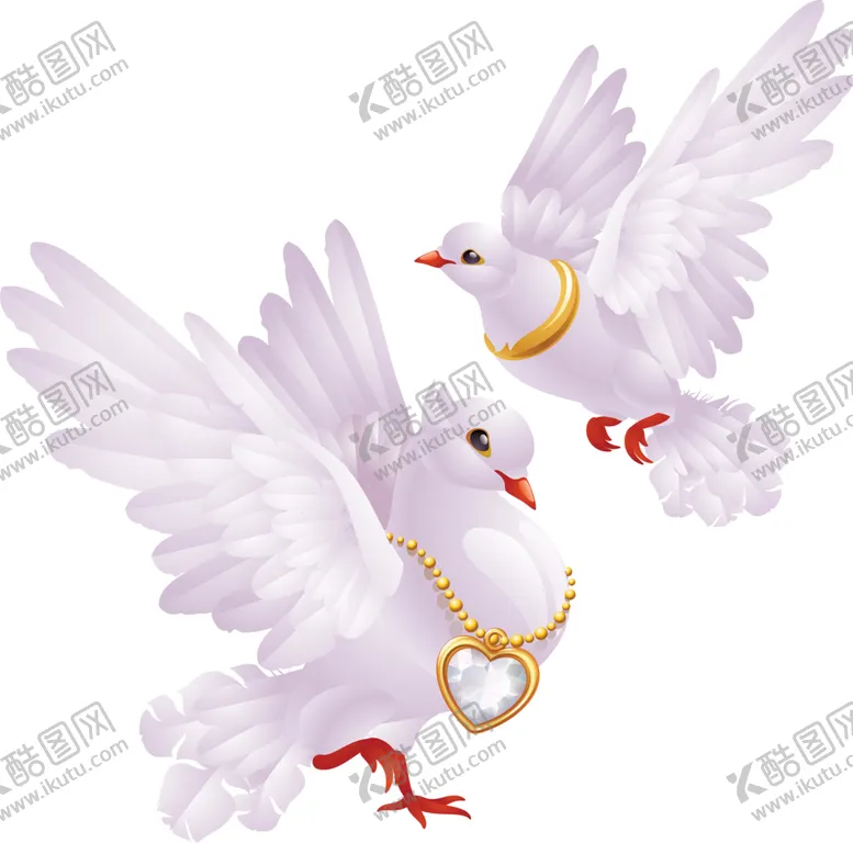 编号：86161504200941423314【酷图网】源文件下载-鸽子