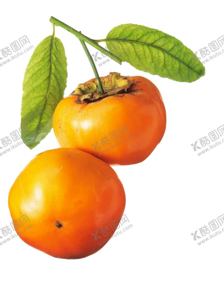 编号：99665105041414197979【酷图网】源文件下载-柿子