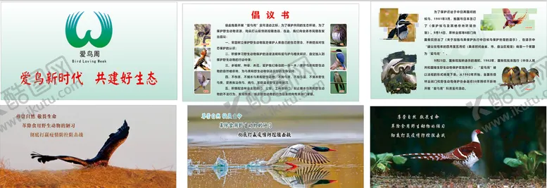 编号：74301206181938496889【酷图网】源文件下载-爱鸟周