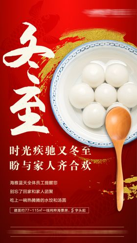 冬至南方汤圆地产海报
