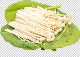 金针菇
