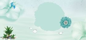 清新洗护品电商banner