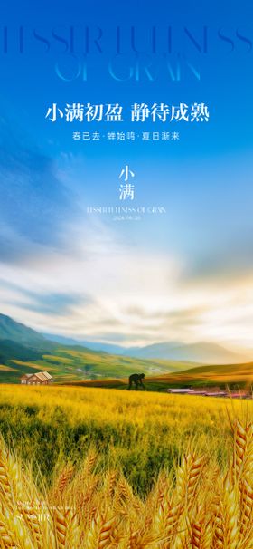 小满节气海报蓝天麦子麦穗耕种