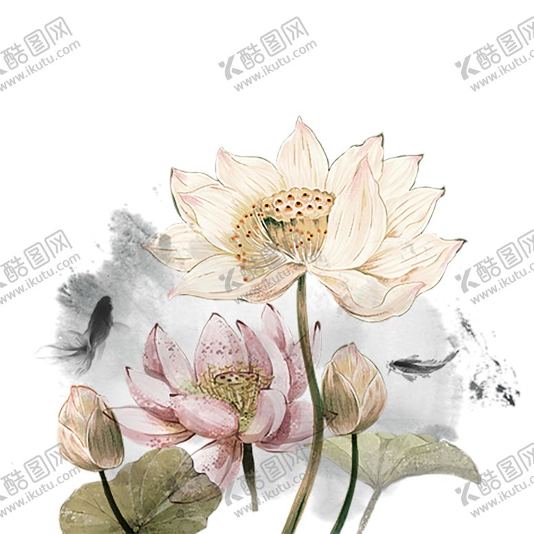 编号：97341310041615598053【酷图网】源文件下载-水墨荷花粉色荷花荷花意境