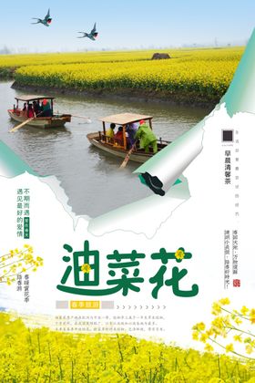 小清新醉美油菜花旅行社春季海报