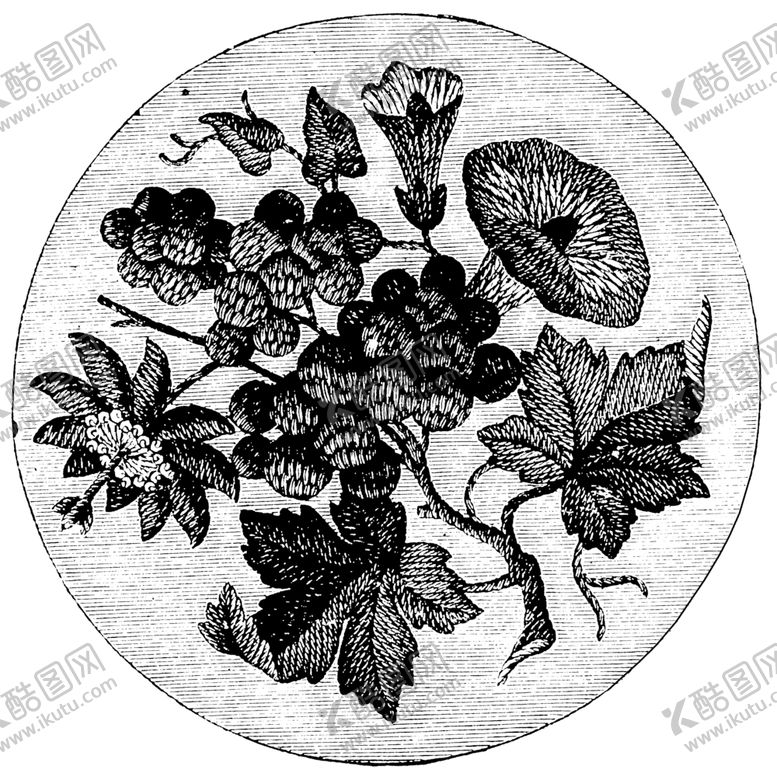 编号：43937009220224008118【酷图网】源文件下载-花纹底纹边纹背景图片