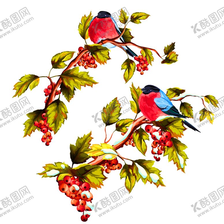 编号：72223709252310278753【酷图网】源文件下载-鲜花装饰