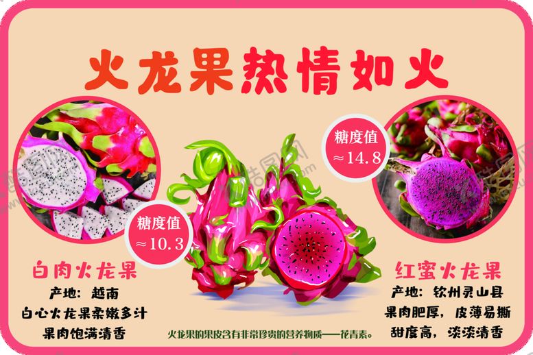 编号：85490611211334008788【酷图网】源文件下载-火龙果挂牌