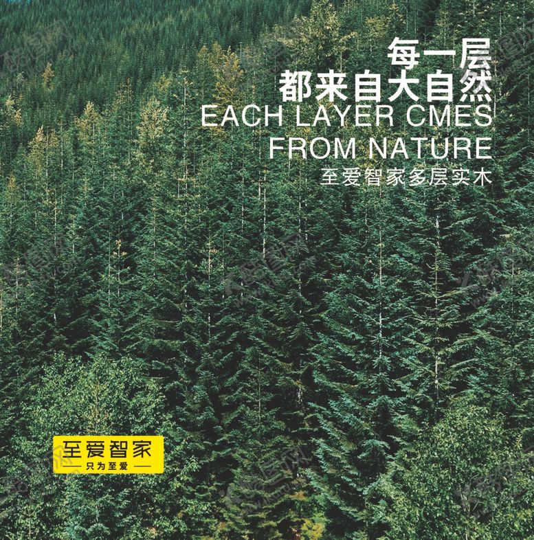 编号：30922807090825341178【酷图网】源文件下载-全屋整装森林海报
