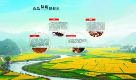 粮食蛀虫