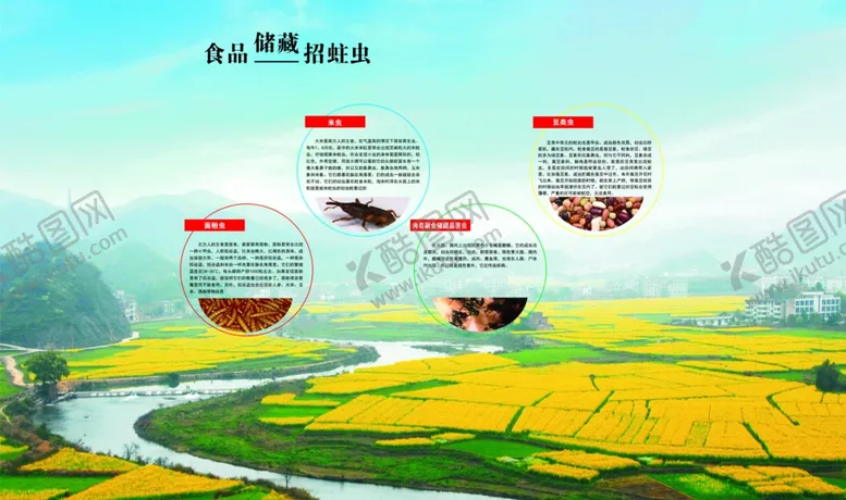 编号：26704406301416168095【酷图网】源文件下载-粮食蛀虫