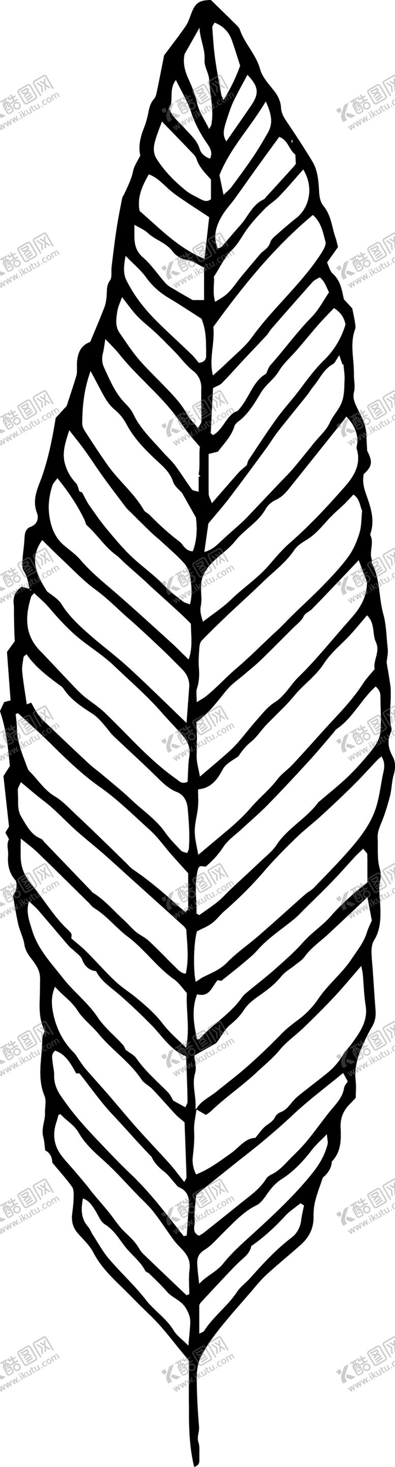 编号：72171109242003391303【酷图网】源文件下载-创意手绘羽毛