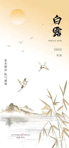 白露海报大雁二十四节气