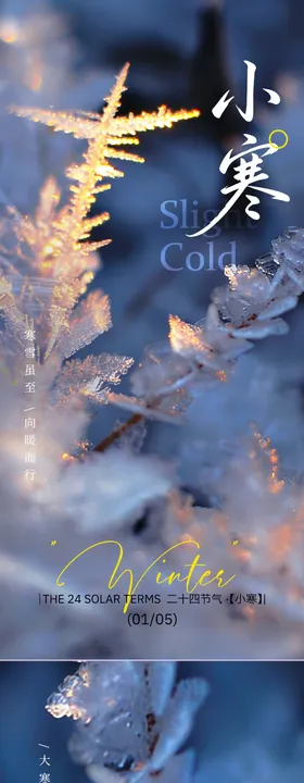24节气海报小寒大寒海报