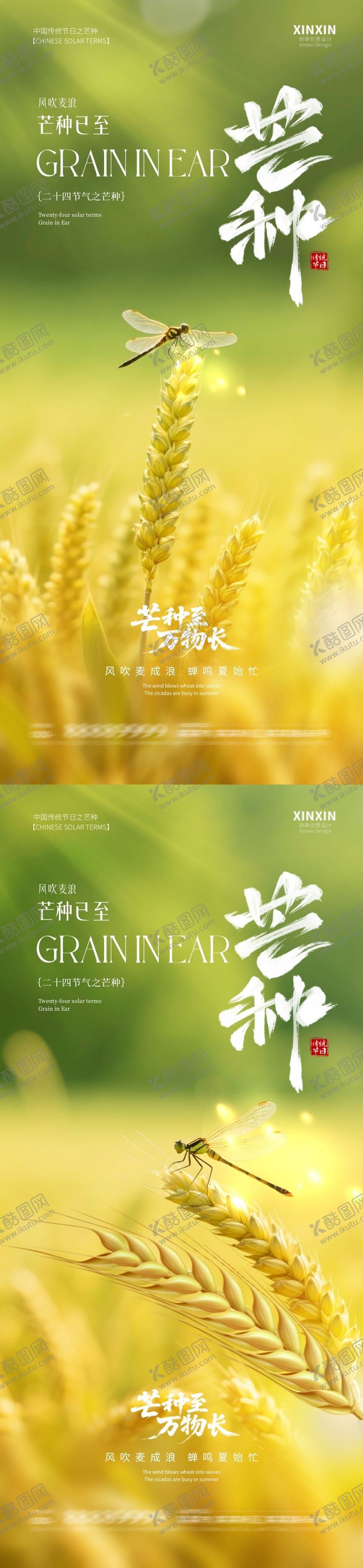 编号：52369006151605032685【酷图网】源文件下载-地产芒种节气海报
