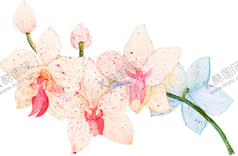 编号：30415309082252478638【酷图网】源文件下载-鲜花装饰