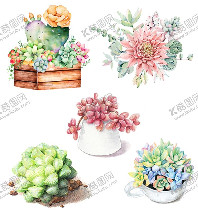 编号：44073504180938293550【酷图网】源文件下载-手绘多肉花草
