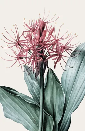 植物花卉简约装饰画晶瓷画新中式装饰画风景画