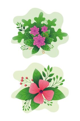 矢量手绘花朵