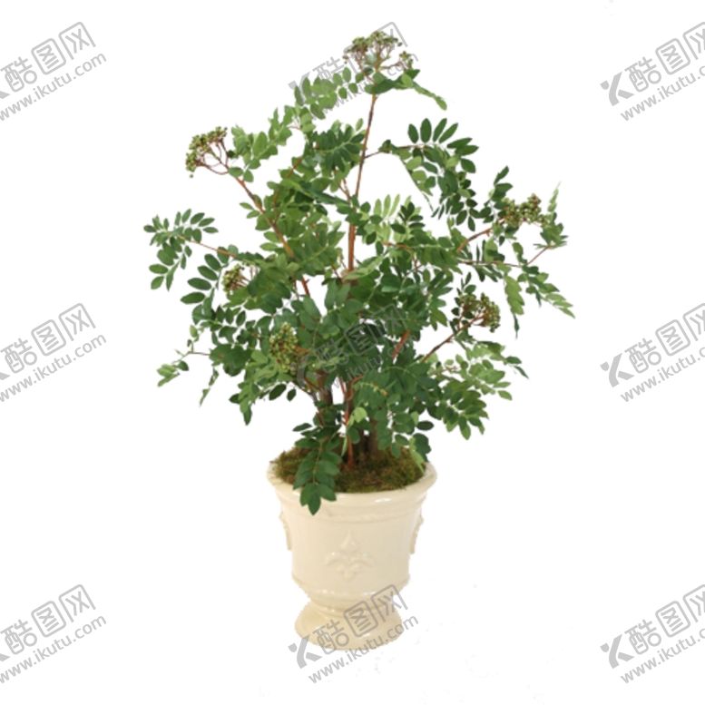 编号：99022909260246376628【酷图网】源文件下载-免抠背景花草树木