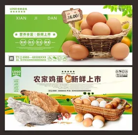 鸡蛋