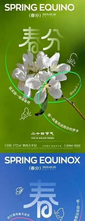 春分节气创意海报