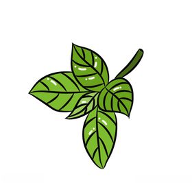 叶子手绘植物蔬菜海报素材