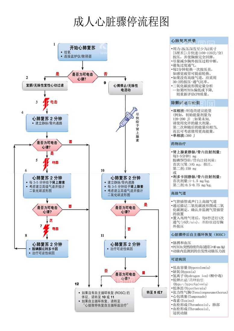 编号：53946209191914220685【酷图网】源文件下载-成人心脏骤停流程图