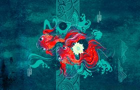 大牌金鱼定位花