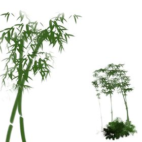 水墨竹子背景富贵元素素材