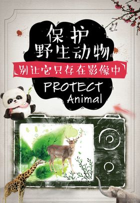 保护野生动物