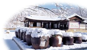 朝族泡菜坛