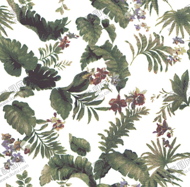 编号：45891210310625157515【酷图网】源文件下载-热带植物