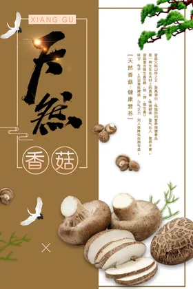 香菇