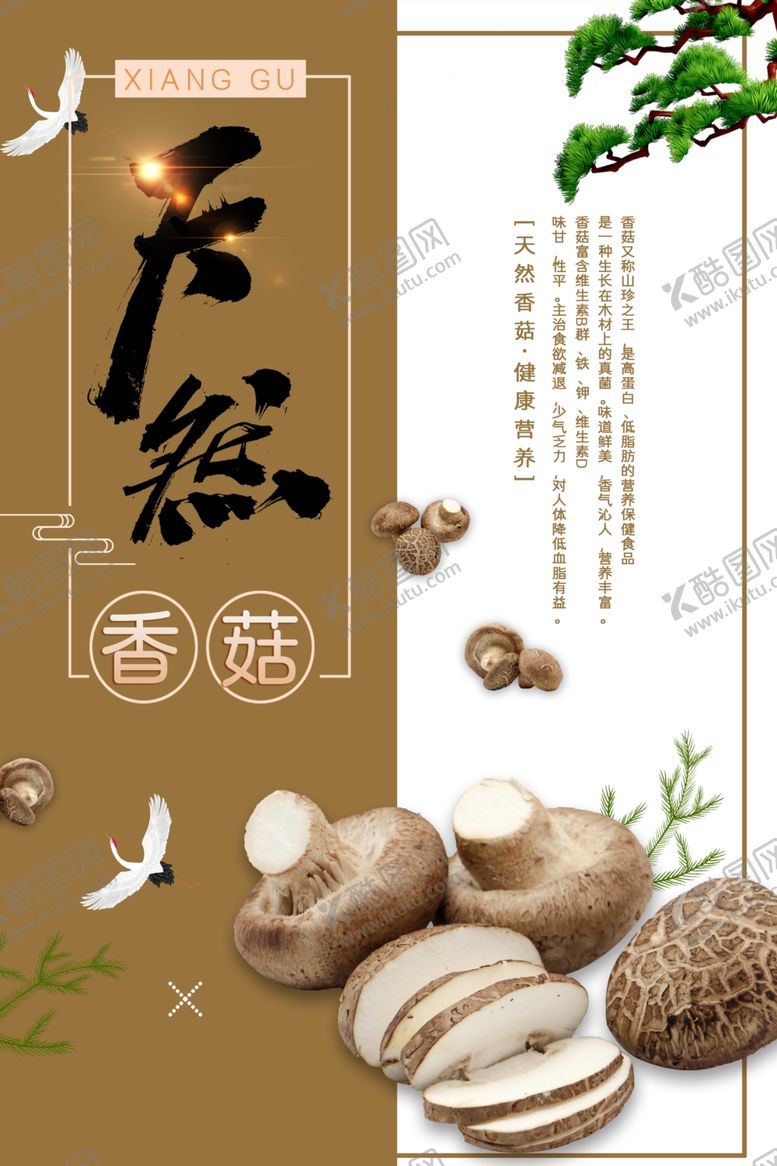 编号：69698209291017497040【酷图网】源文件下载-香菇