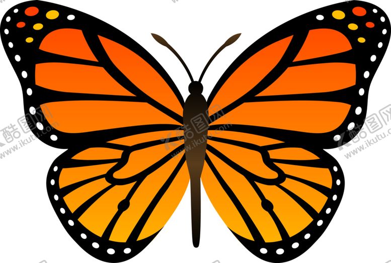 编号：40107410020627351560【酷图网】源文件下载-蝴蝶素材